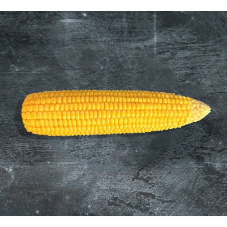 Corn on the cob